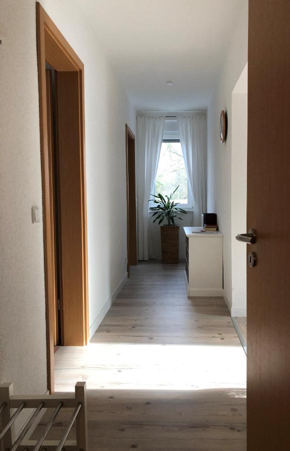 Schoene Ferienwohnung Am Rande Der Altstadt Wittenberg Ngoại thất bức ảnh
